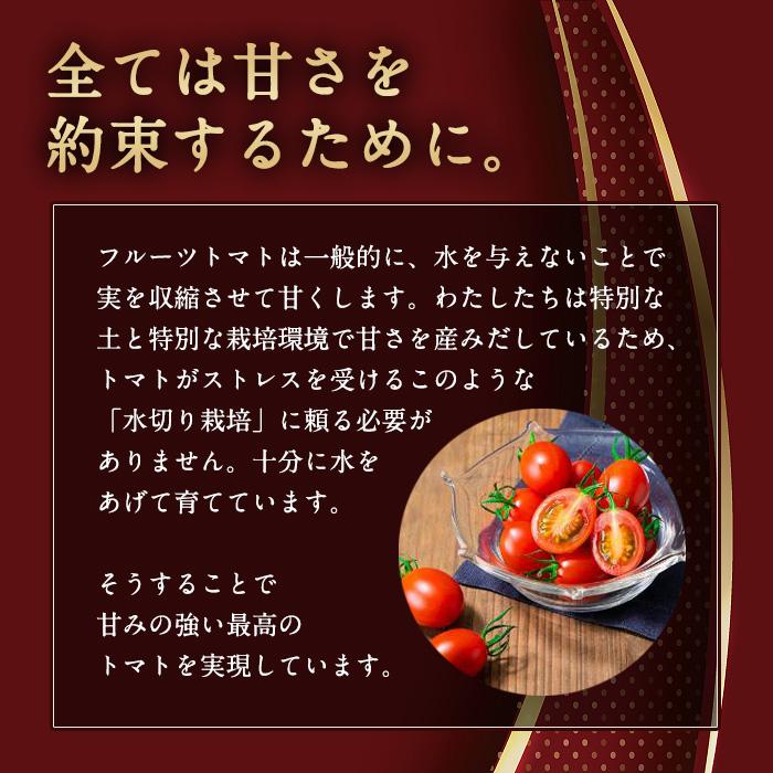 株式会社OSMIC FOODS [直送5]OSMIC FIRST GRAND QUEEN フルーツトマトジュース 720ml 送料無料_2