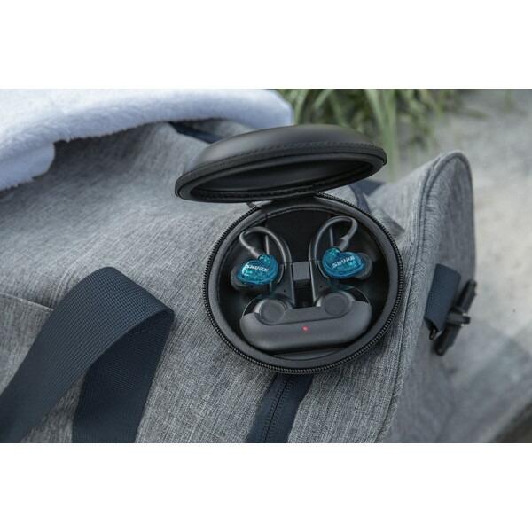 SHURE（シュア） SHURE SE21DYBL+TW2-A トランスルーセント