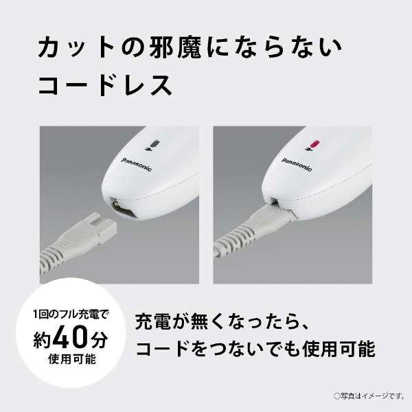 Panasonic（パナソニック） PANASONIC ER-GF42-W 白 ファミリーヘアー 