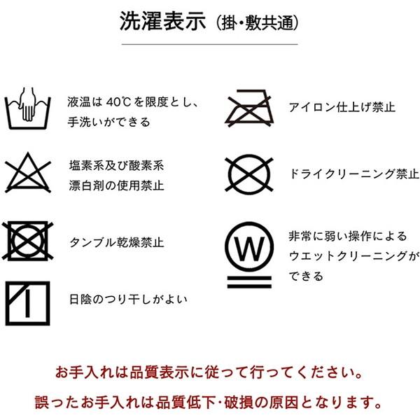 こたつ布団 イケヒコ・コーポレーション 1160720130201 ムーブ 掛敷セット 正方形 おしゃれ 掛け敷きセット グレー 約205×245cm メーカー直送｜sake-premoa｜19