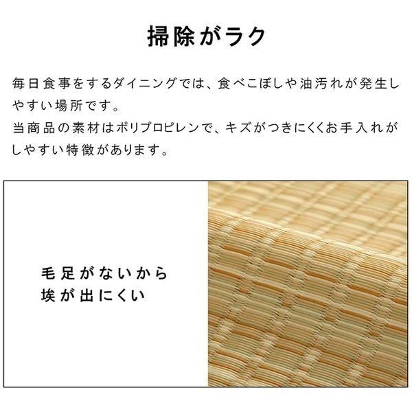 イケヒコ・コーポレーション 1090031191902 洗える PPカーペット バルカンネイビー 本間6畳 メーカー直送_3