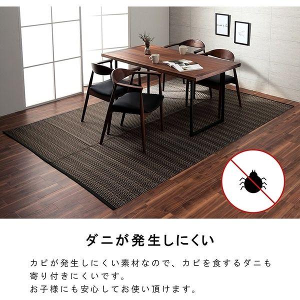 イケヒコ・コーポレーション 1090031191902 洗える PPカーペット バルカンネイビー 本間6畳 メーカー直送_5