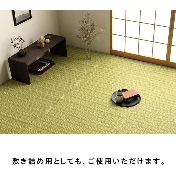 イケヒコ・コーポレーション 1090031191902 洗える PPカーペット バルカンネイビー 本間6畳 メーカー直送_7