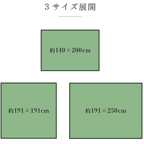 イケヒコ・コーポレーション 1050140123904 ラグ 純国産 国産 日本製 い草 抗菌防臭 自然素材 モダン DXカラフルブロック グリーン 約191×250cm メーカー直送_13