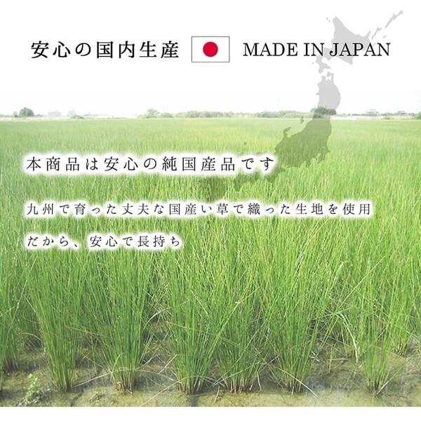 イケヒコ・コーポレーション 1050140123904 ラグ 純国産 国産 日本製 い草 抗菌防臭 自然素材 モダン DXカラフルブロック グリーン 約191×250cm メーカー直送_8