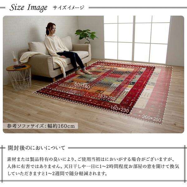 イケヒコ・コーポレーション 1320370190401 イビサ NV 160×230