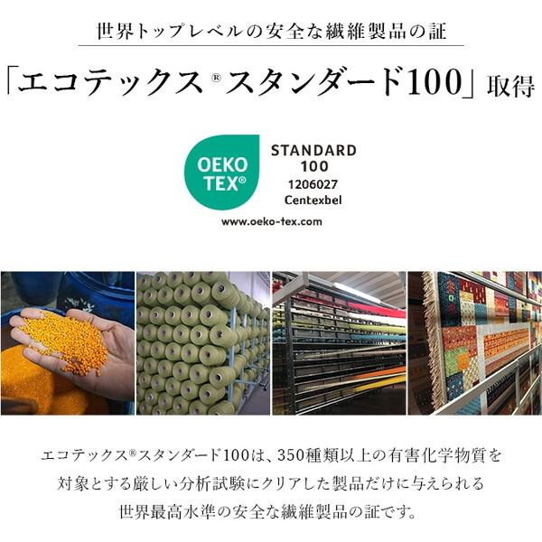 イケヒコ・コーポレーション 1321600010601 スピネル 200×250 ウィルトンラグ メーカー直送_8