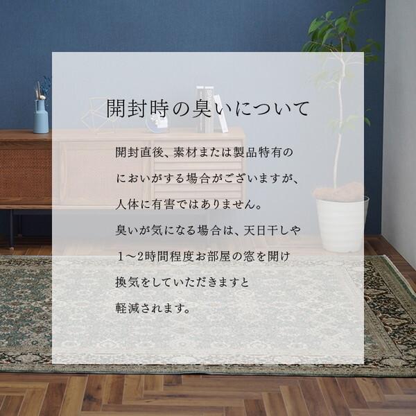 イケヒコ・コーポレーション 1321700190401 アルスラーン NV 150×225 ネイビー ウィルトンラグ メーカー直送_14