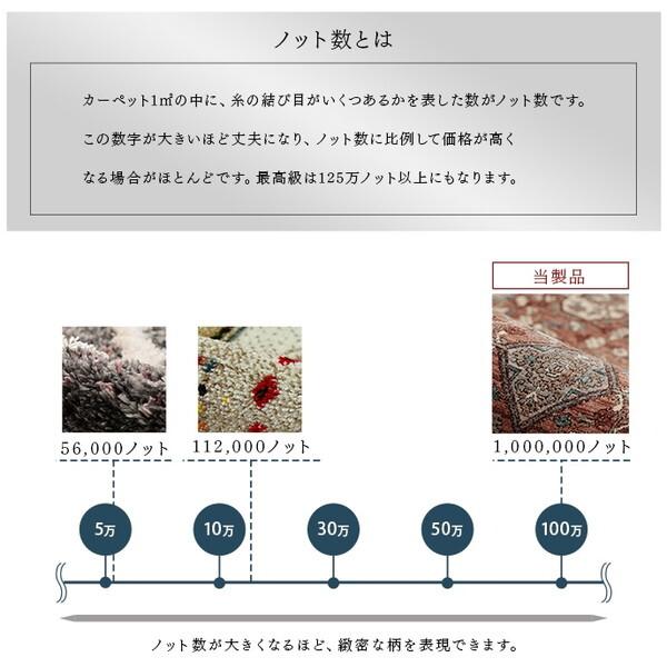 イケヒコ・コーポレーション 1321700190401 アルスラーン NV 150×225 ネイビー ウィルトンラグ メーカー直送_5