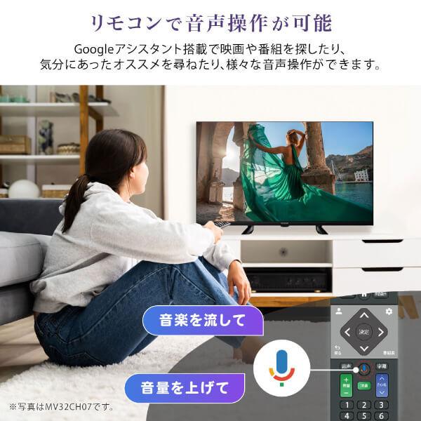 MAXZEN（マクスゼン） MAXZEN MVU55CH07 55V型 地上・BS・110度CS