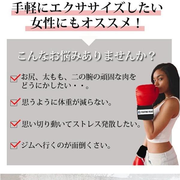 ファイティングロード ファイティングバック サンドバック 自立 ファイティングロード ファイティングバック サンドバック 自立