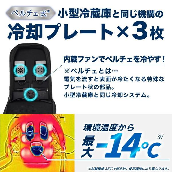 THANKO ペルチェで冷却リュッククーラークーリュック2 BACKC2HBK