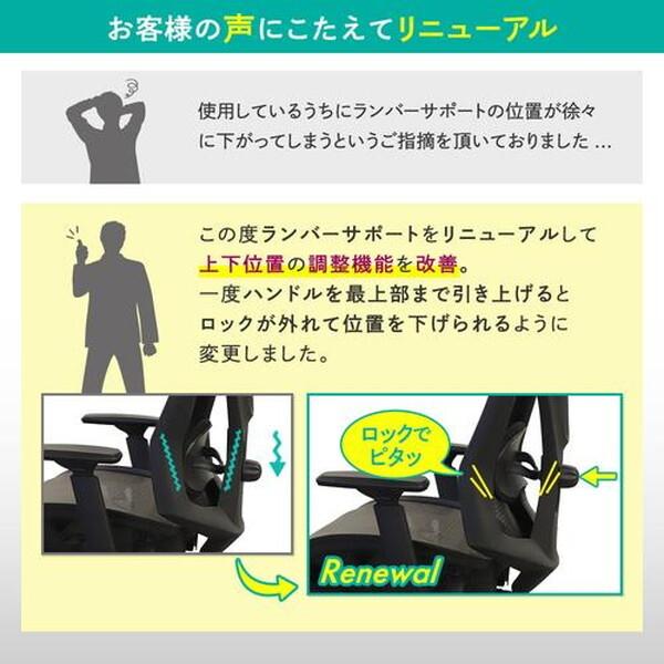 Netforce DF-1H-W-BK ブラック ダイナミクスフィットチェア ヘッドレスト付き ハンガーなし メーカー直送_7