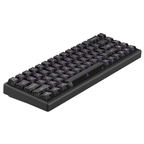 Arbiter Studio as-polar-65-black-phantom-black-dr-fuji ブラック 