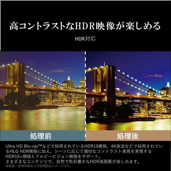 テレビ 65型 液晶テレビ TVS REGZA レグザ 65インチ TV 65M550M 4Kチューナー内蔵 M550Mシリーズ 地上・BS・110度CSデジタル 新生活