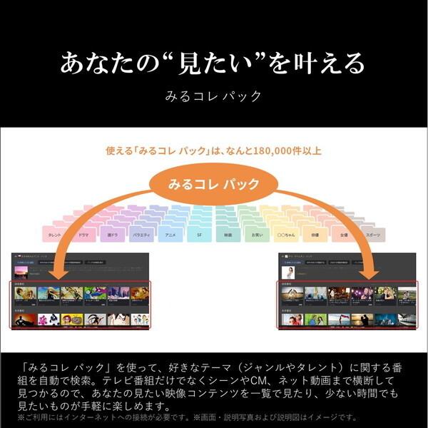 テレビ 65型 液晶テレビ TVS REGZA レグザ 65インチ TV 65M550M 4Kチューナー内蔵 M550Mシリーズ 地上・BS・110度CSデジタル 新生活