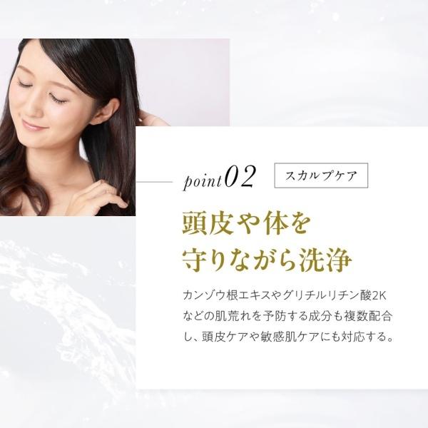 TELESA シャントリボディ 400ml シャンプー トリートメント