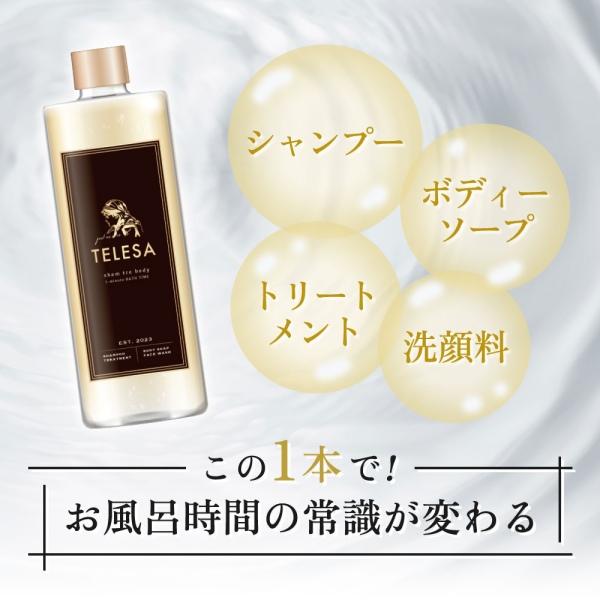 TELESA シャントリボディ 400ml シャンプー トリートメント TELESA シャントリボディ 400ml シャンプー トリートメント