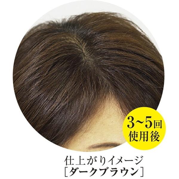 三宝 三宝商事 テンスター カラーシャンプー ダークブラウン 300ml