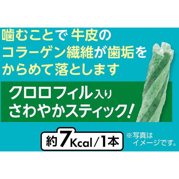 ペティオ プラクト 歯みがきデンタルガム超小型〜小型犬クロロフィル入りハード 70g｜sake-premoa｜05