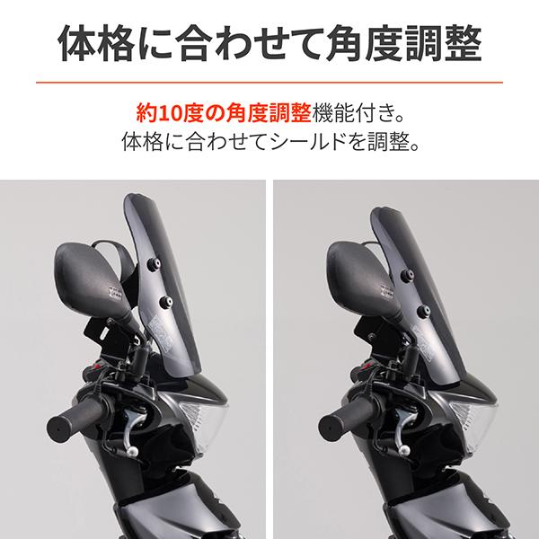 DAYTONA（デイトナ） D79794 ウインドシールドSS 車種別キット