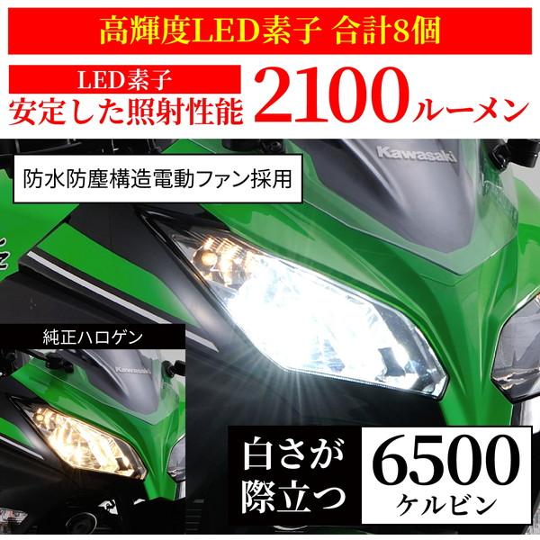 DAYTONA（デイトナ） D97897 BELLOF LED H7 ヘッドライトバルブ 2100