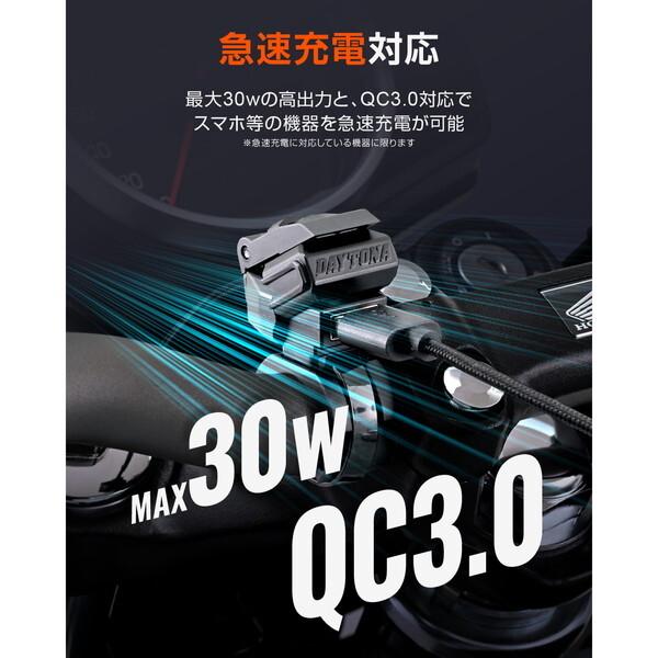 DAYTONA（デイトナ） D41545 USB電源 USB 1ポート : 総合通販PREMOA