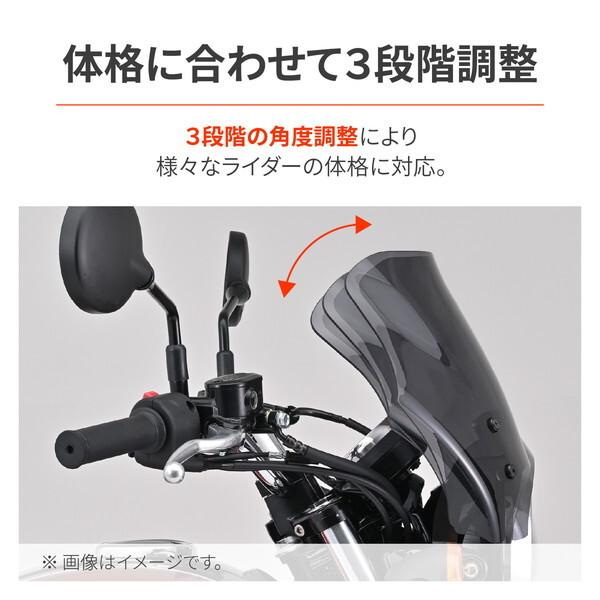DAYTONA（デイトナ） D62722 CB1000F(26)専用 スクリーン ブラスト