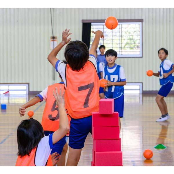 EVERNEW（エバニュー） ETE080 ブロッシュボールセット メーカー直送