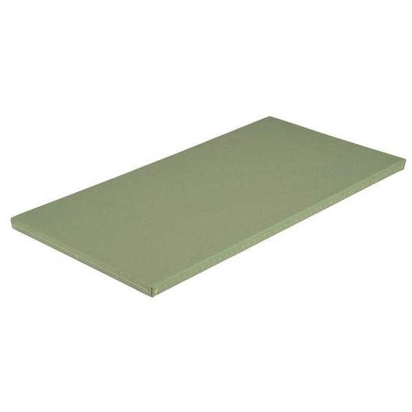 EVERNEW エバニュー EKR066 527 全柔連公認畳関西間滑止付 ワサビ メーカー直送 EVERNEW（エバニュー） EKR066 527 全柔連公認畳関西間滑止付 ワサビ