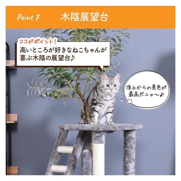 不二貿易（Fuji Boeki） 58205 ねこの休ら木 マロン メーカー直送