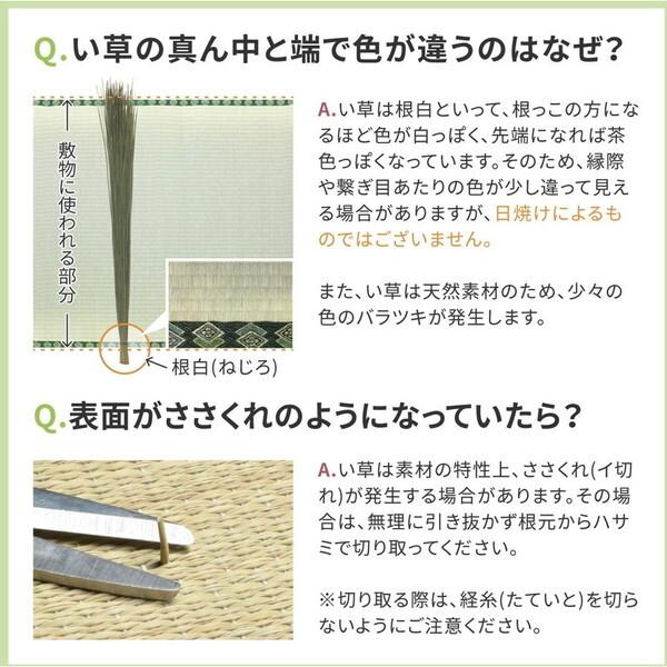 159069360 フリーカット裏付き い草カーペット みすず 団地間6畳 補修テープ付き 255×340 メーカー直送 【マランド】