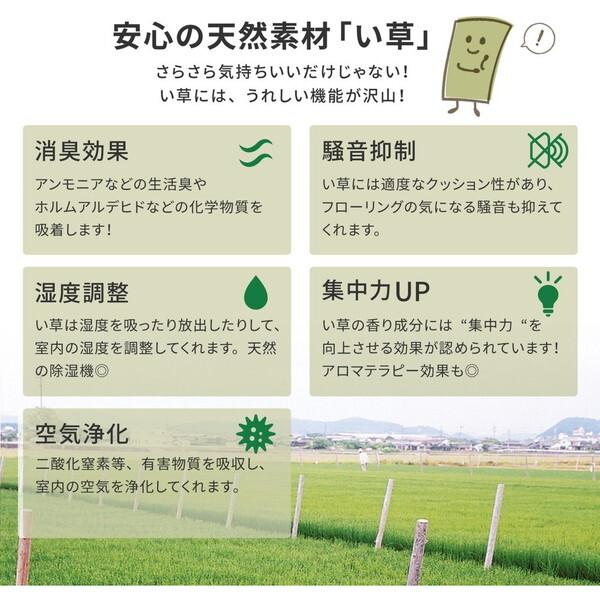 159069360 フリーカット裏付き い草カーペット みすず 団地間6畳 補修テープ付き 255×340 メーカー直送 【マランド】
