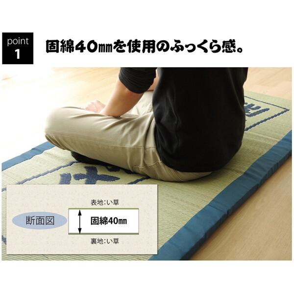 イケヒコ・コーポレーション 1122140043501 固わた40mm入り い草ごろ寝フリーマット(おやじの場所) 『大和』 ブルー 約70×150cm メーカー直送 | ブランド登録なし | 02