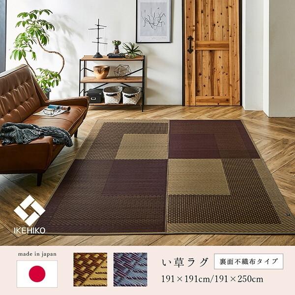 イケヒコ・コーポレーション 1050950193904 ラグ 長方形 夏用 ふっくら
