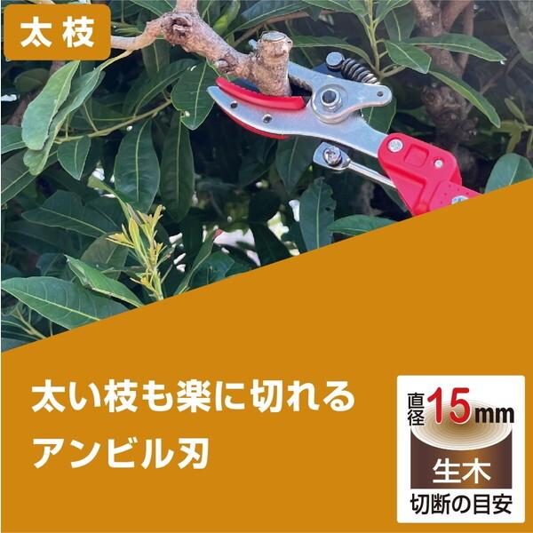 アルスコーポレーション 184ZKA-3.0-5D Kタイプ アンビル採集 高枝鋏