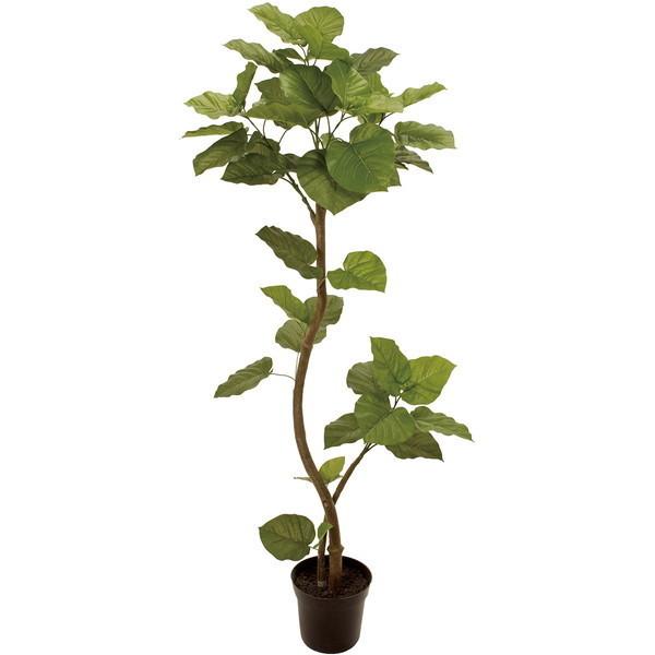 ウンベラータ スパイラル 5F｜東京堂のフェイクグリーン