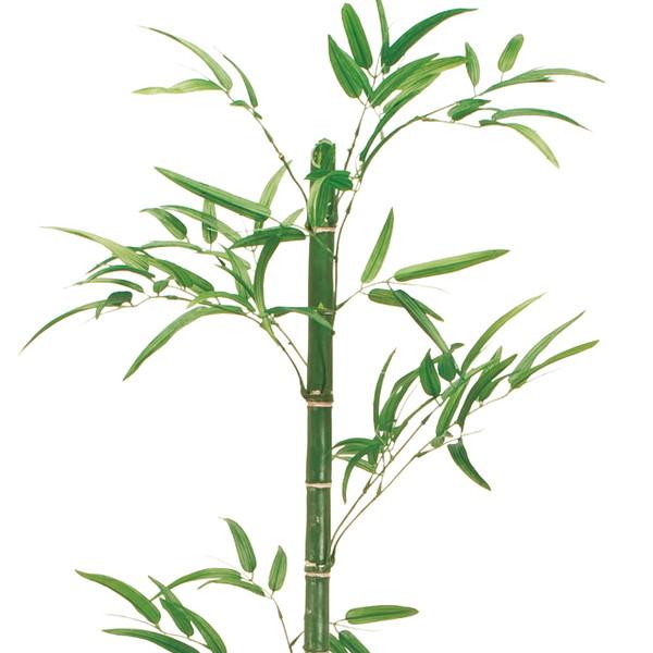 東京堂 FG008947 造花 和歌竹LGREEN メーカー直送 : 総合通販PREMOA