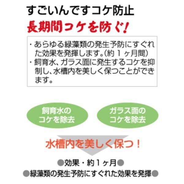 コトブキ工芸 すごいんですコケ防止 300ml メーカー直送 : 総合通販