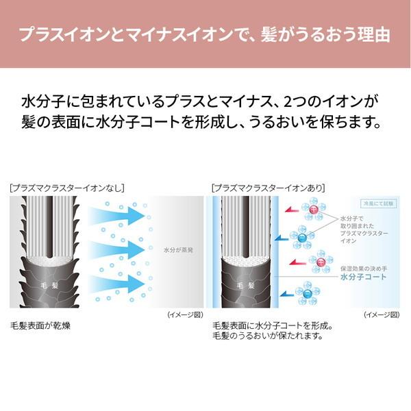 ドライヤー シャープ SHARP beaute A IB-NP9-V パープル系コズミックパープル プラズマクラスタードライヤー 美髪 速乾 ツヤ うるおう まとまる ibnp9 IBNP9｜sake-premoa｜11