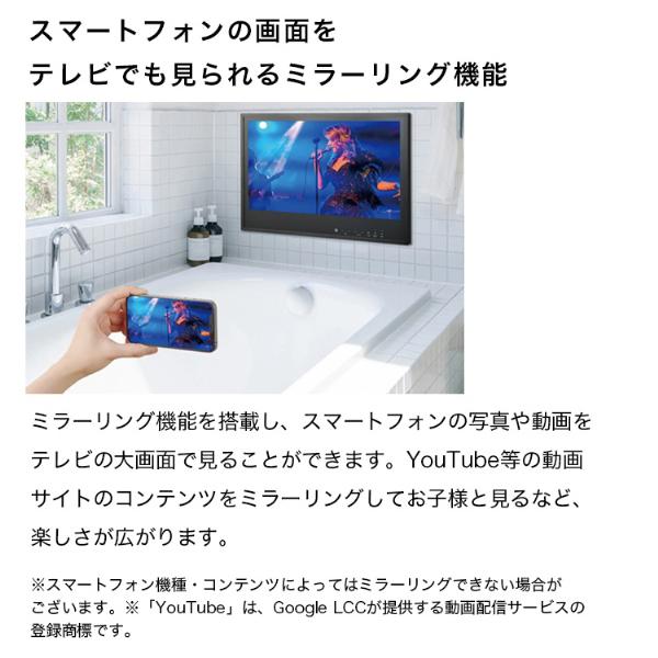 VB-BB241W TWINBIRD ホワイト 24V型浴室テレビ(地上・BS・110度CS対応)_3