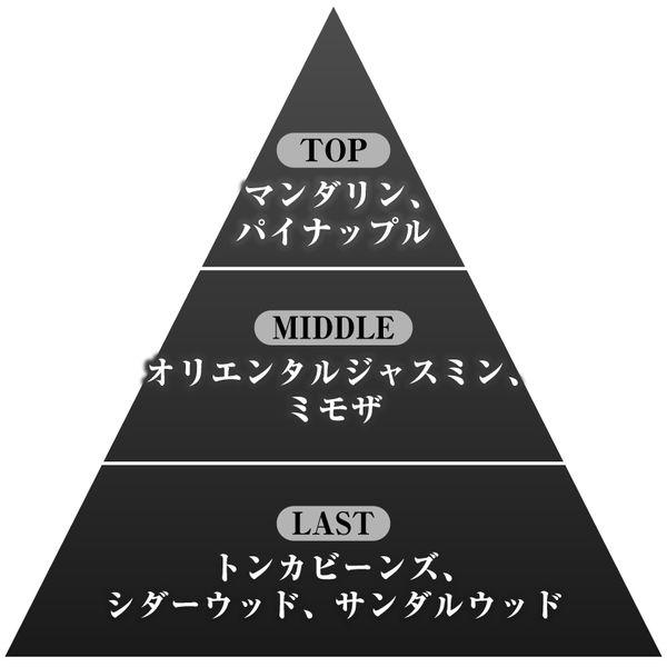 アラン・ドロン 香水 メンズ サムライ ブラックライト クロス