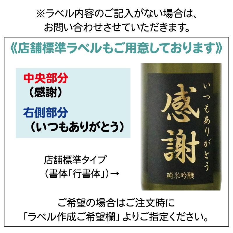 地域別 送料無料 金文字 名入れ 池亀 純米吟醸 無濾過 無加水 夢一献
