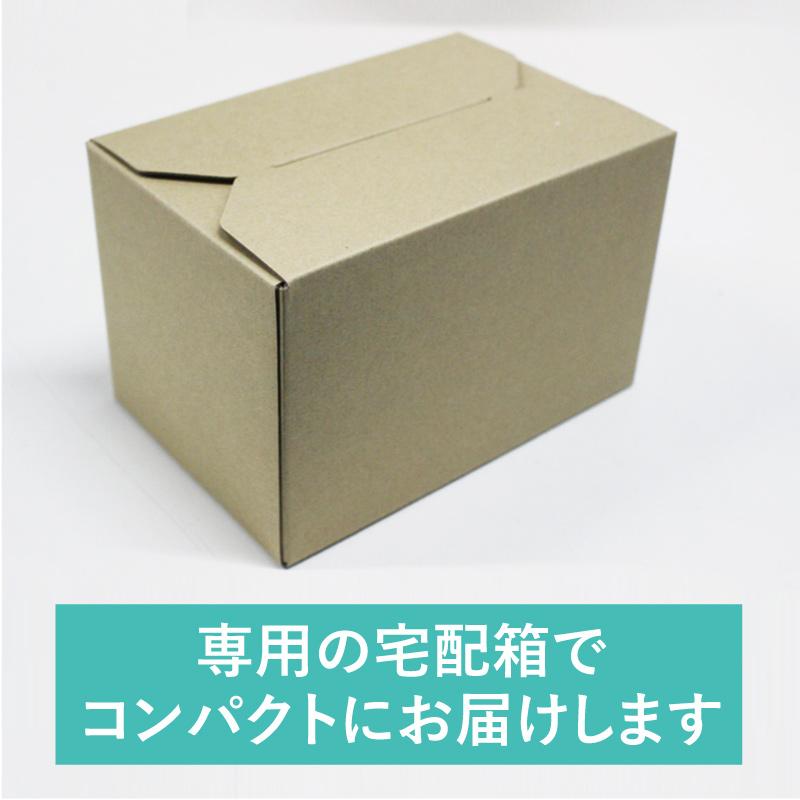 アサヒ（asahi） 地域別 送料無料 Dセット スーパードライ+ザ