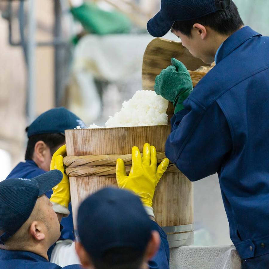 日本酒 七田 しちだ 純米 無濾過 火入れ 1800ml 天山酒造 佐賀 定番 人気 おすすめ｜sake-shop-sai｜08