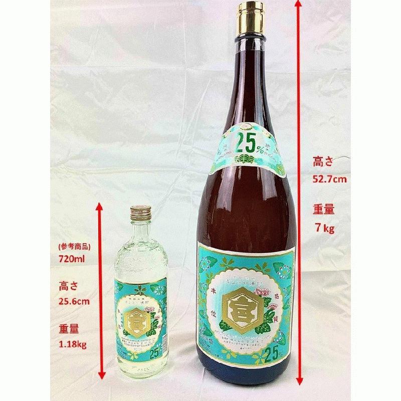 市場 お中元 亀甲宮焼酎 600ml キンミヤ焼酎 2本 お酒 25度 市場 お中元 亀甲宮焼酎 600ml キンミヤ焼酎 2本 お酒 25度