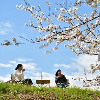 爽醸 久保田 雪峰 白 純米大吟醸 500ml 化粧箱入り 3本 2024年4月発売 せっぽう　｜sakeasanoya｜04