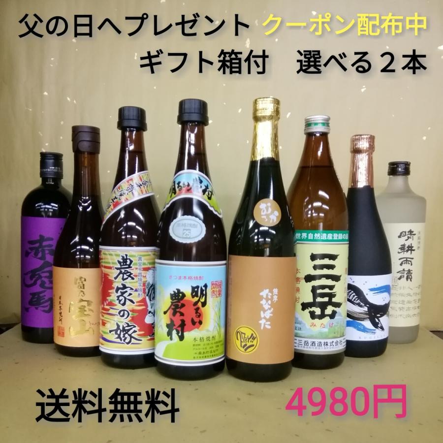宝山 御中元 プレゼント お酒 ギフト 焼酎セット 送料無料 選べる2本