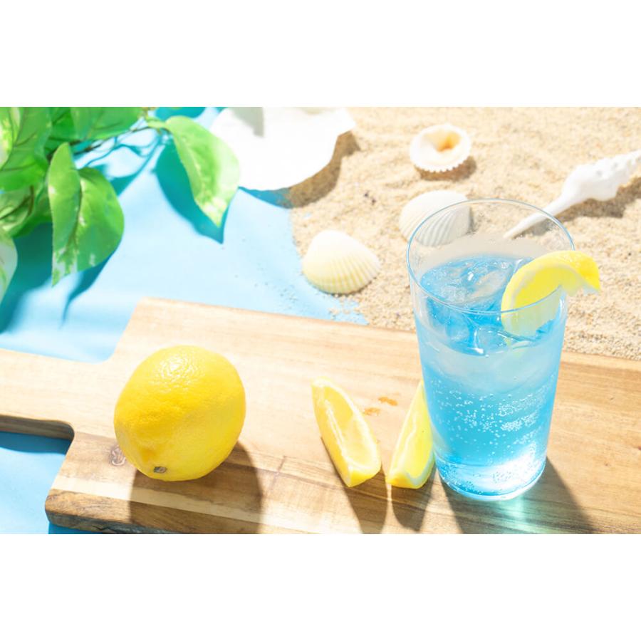 ケース販売 送料無料 女子美酒部 ブルーレモンサワーの素 20度 900ml&times;6 パック レモン浸漬酒 レモン サワー 炭酸割 長S
