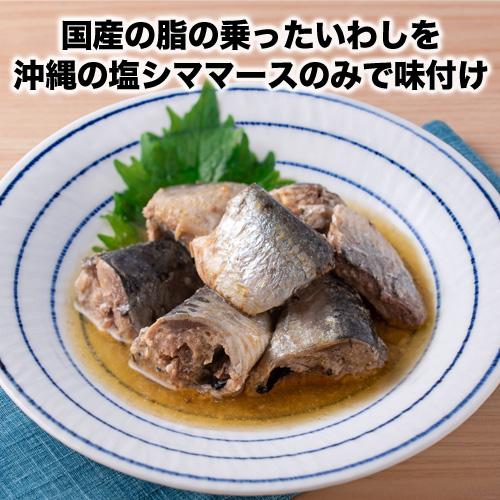 伊藤食品 あいこちゃん 鰯水煮 食塩不使用 190g×48缶セット 7/15限定P3倍 伊藤食品 あいこちゃん 鰯水煮 190g 48個 国産 無添加